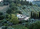 På landet mellan San Gimingano och Poggibonsi : Toscana - Veneto